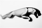 Эмблема кошка Ягуар на багажник 10см (мет.), правая - фото 24173